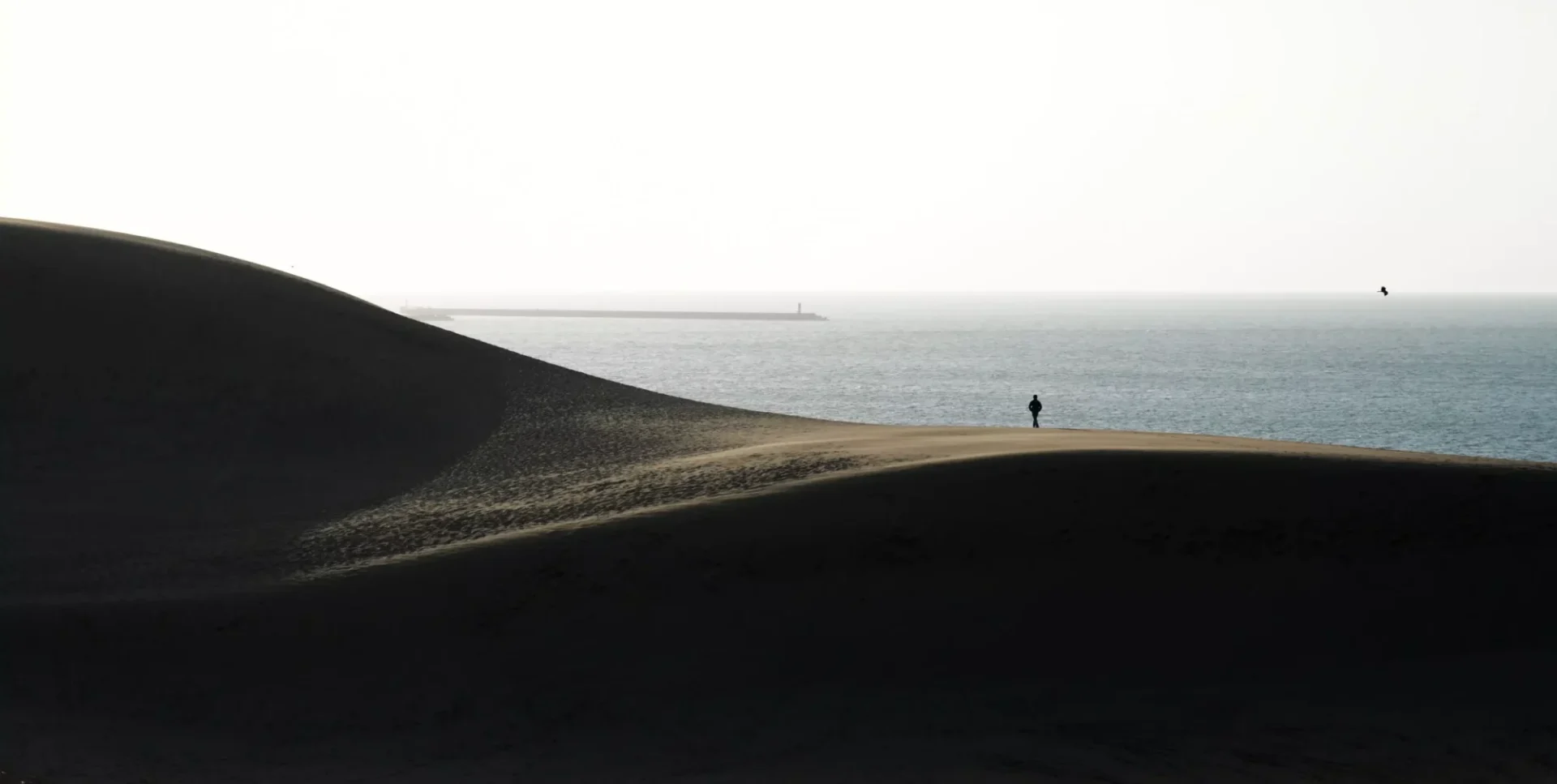 一位旅行者在沙漠上看著海景
