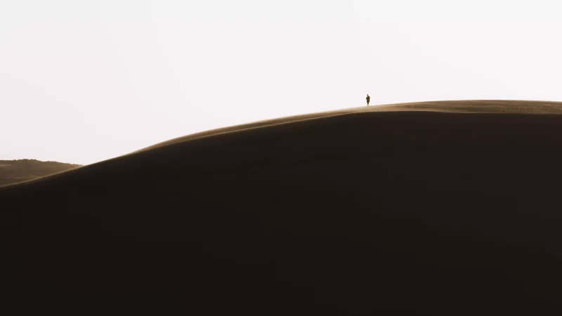 攝點推薦，馬背下的仰望視角