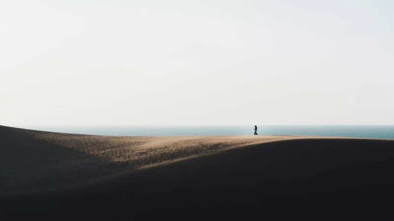 沙丘與海洋相鄰，人們在海岸線上散步