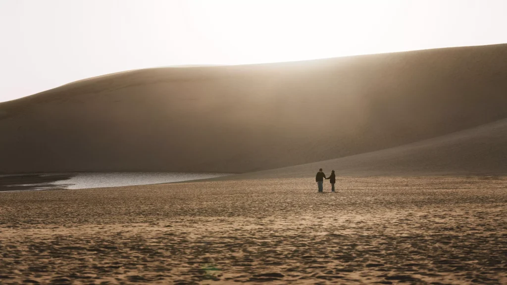 一對男女情侶在鳥取砂丘馬背旁，牽手的照片