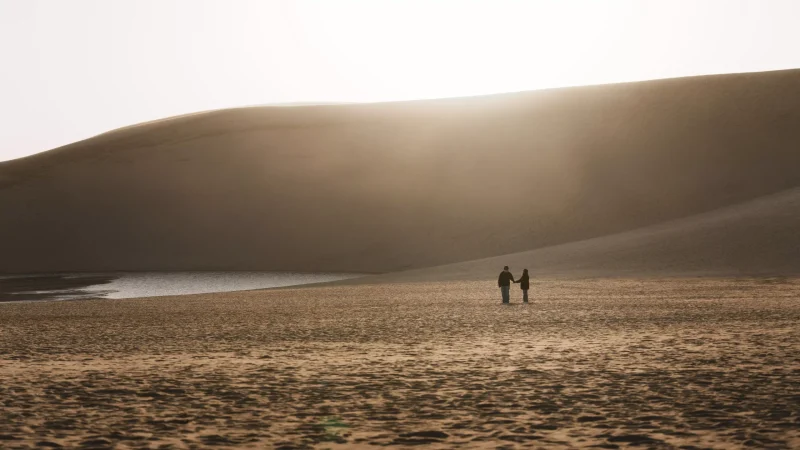 一對男女情侶在鳥取砂丘馬背旁，牽手的照片