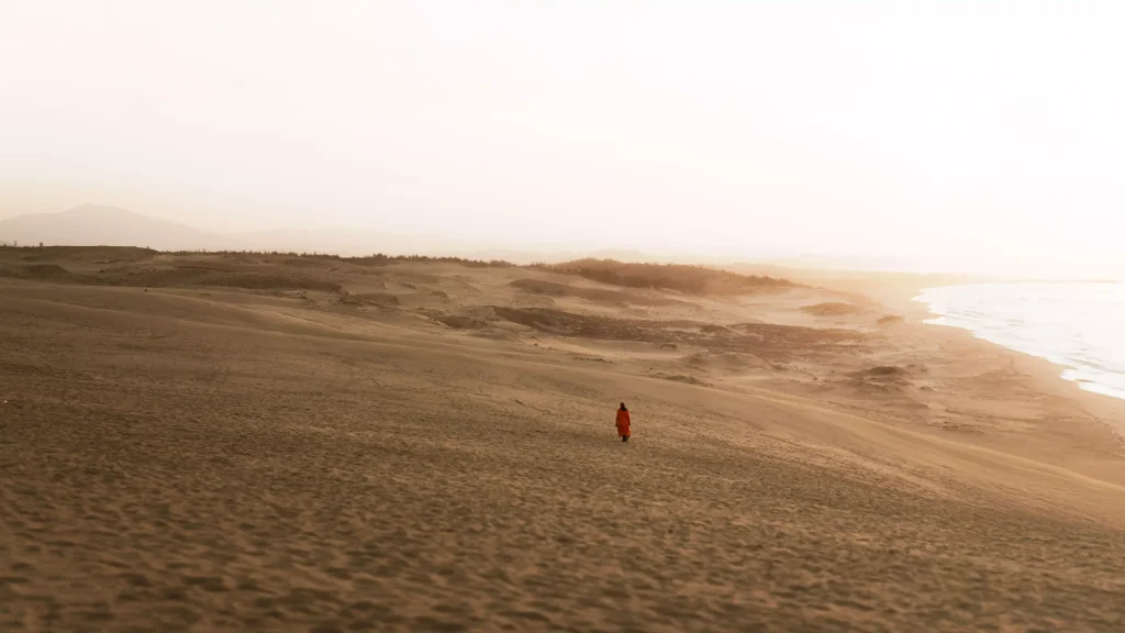 在風沙吹拂下，一名穿著紅衣洋裝的女人，獨自往遠方走去