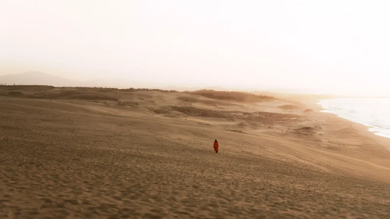 在風沙吹拂下，一名穿著紅衣洋裝的女人，獨自往遠方走去