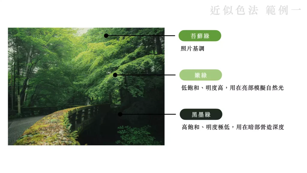 近似色法的第一張範例圖片，輕井澤的森林小徑使用綠色系做一系列的調色