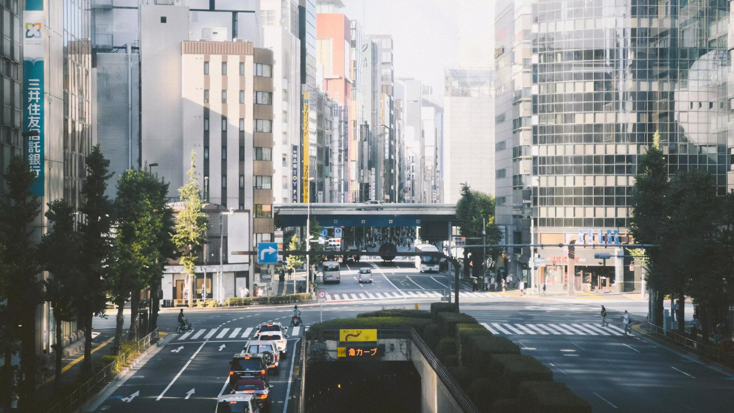 這是兩年前，還沒有相機時拍出來的照片
在步調很快的東京好像只有旅人有餘韻慢慢享受
正因為新鮮，才覺得什麼都美
台灣的話，你們覺得什麼美呢？
📷 iPhone 14 Pro
#日本街拍 #街拍攝影師 #東京街道 #東京攝影 #街拍日常