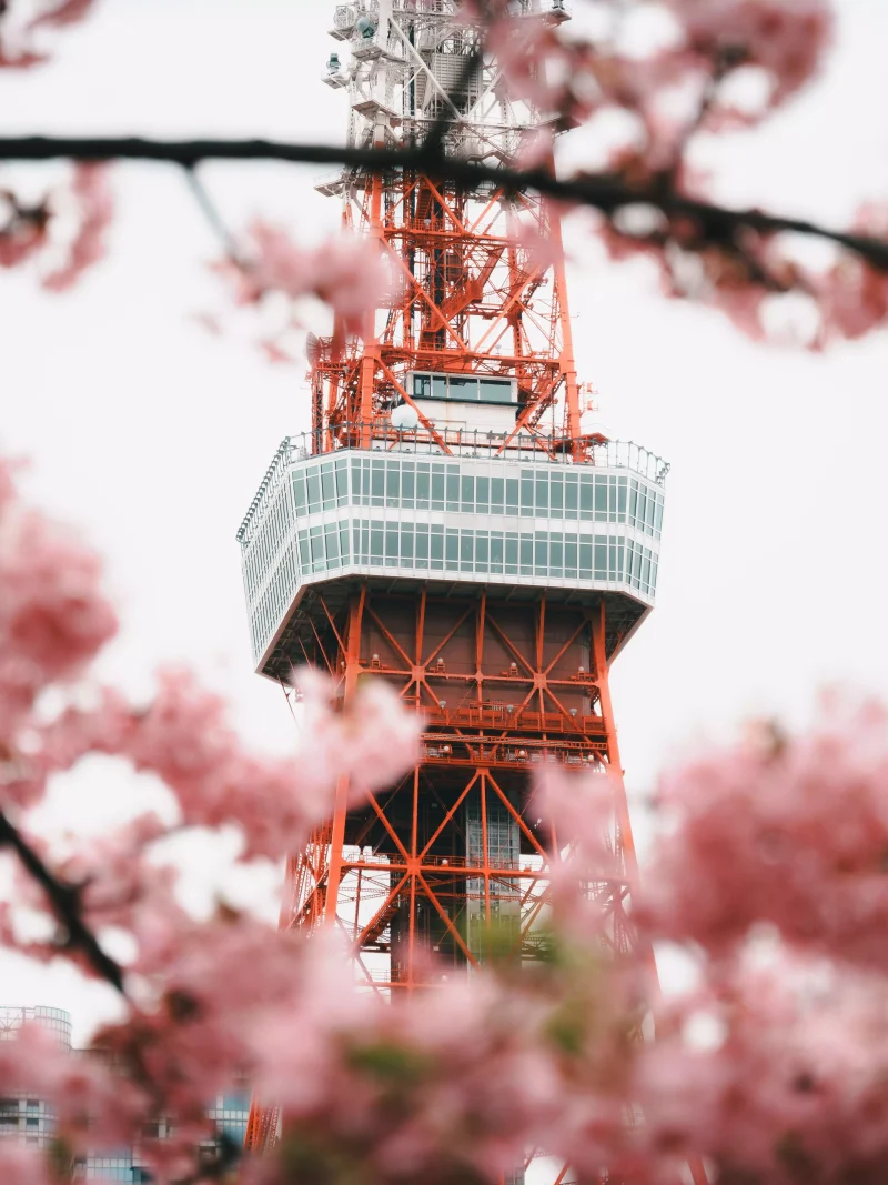 仕旅在櫻花季前往日本，拍攝東京鐵塔與櫻花