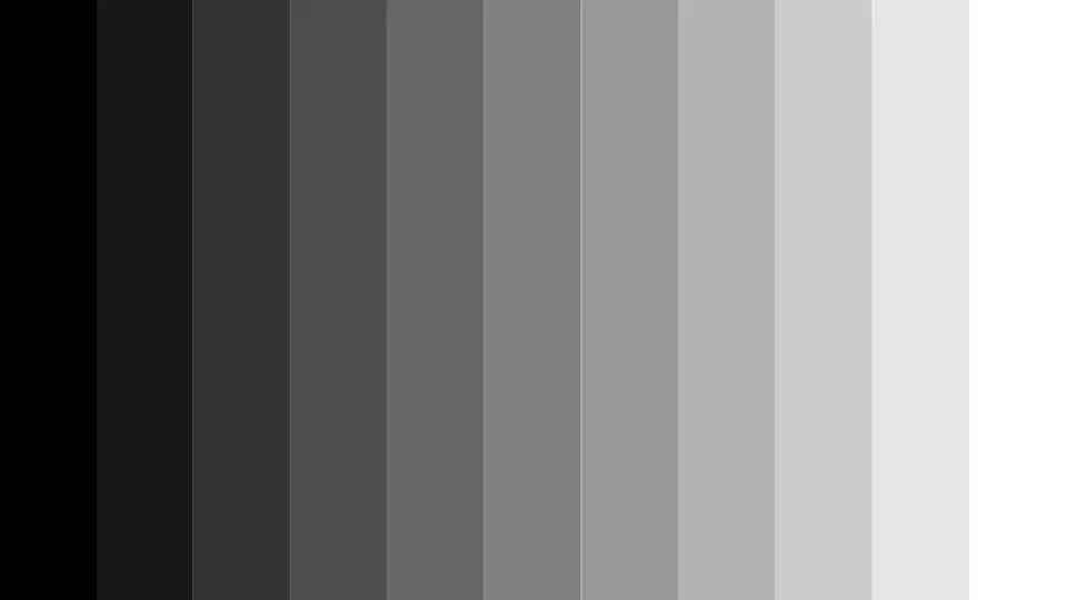 從黑到白分成十一個等份，呈現灰階分布圖