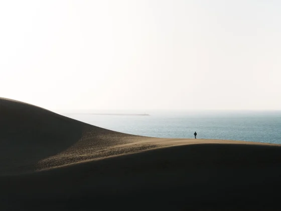 如何決定自己的調色風格，從內在探索找到最適合你的顏色調性