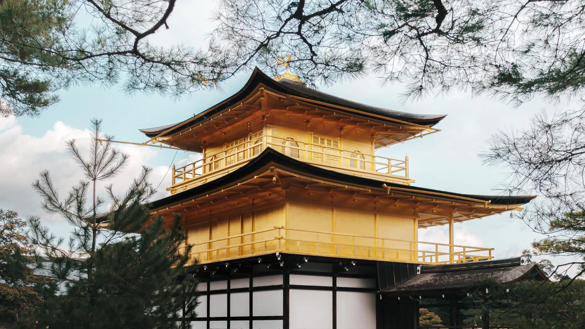 【Lr 教學】Lr 與 Lr Classic 差別 6 選，教你輕鬆選擇調色軟體