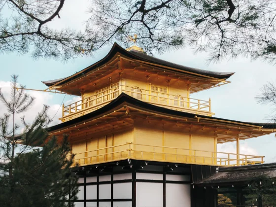 【Lr 教學】Lr 與 Lr Classic 差別 6 選，教你輕鬆選擇調色軟體